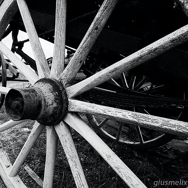 40D_0867_1rid.jpg