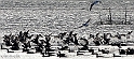 40D_0426_2rid