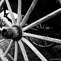 40D_0867_1rid