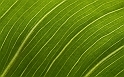 G.Melis_Curve_3_IMG_6625_1_lightroom