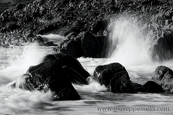 40D_10906_2rid.jpg