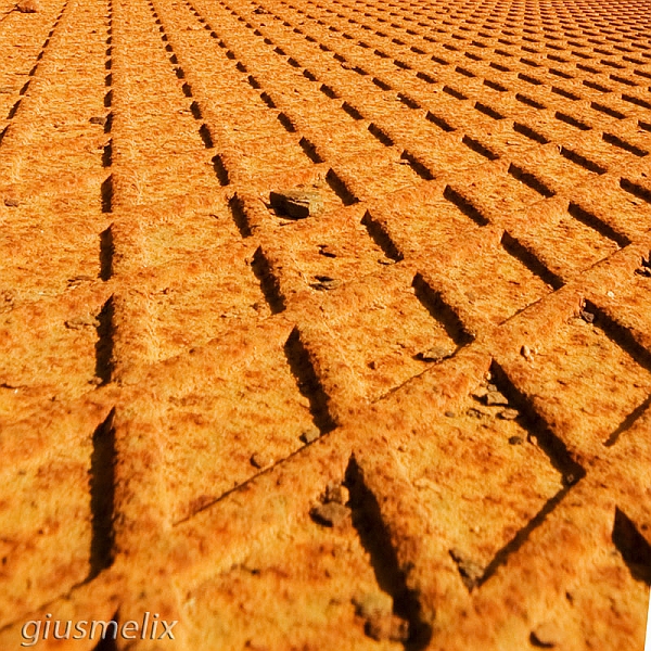 40D_2209_1rid.jpg