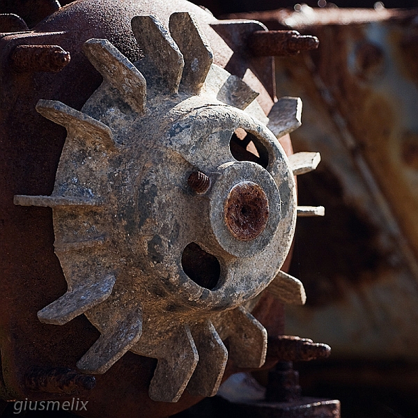 40D_2216_1rid.jpg