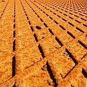 40D_2209_1rid