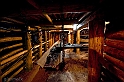 40D_7748_1rid