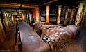 40D_7763rid