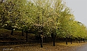 40D_0386_1rid