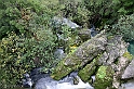 40D_0422_1rid