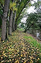 40D_0437_1rid