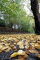 40D_0452_1rid