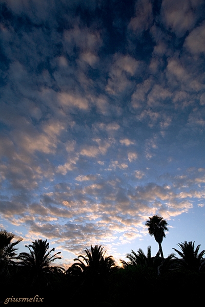 IMG_9679_1rid.jpg