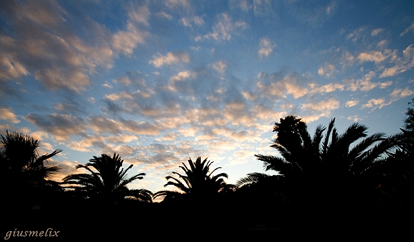 IMG_9682_1rid.jpg