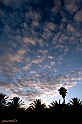 IMG_9679_1rid