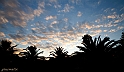 IMG_9682_1rid