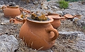 IMG_9996_1