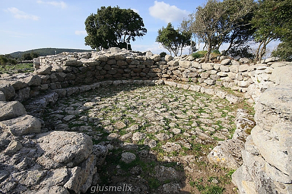 40D_4039_1rid.jpg