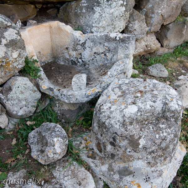 40D_4120_1rid.jpg