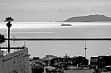404978630_a36bf86007_o