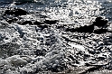 40D_1196_1rid