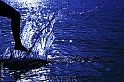 IMG_1935_4_rid_giusmelix2