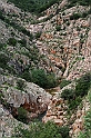 IMG_1198_1rid