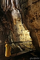 IMG_2156_1rid