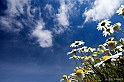 40D_3715_1rid