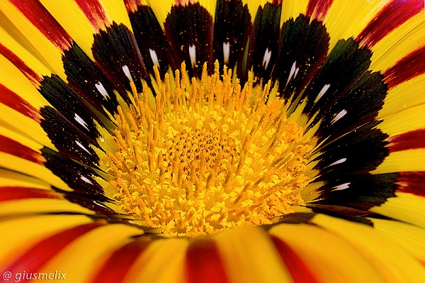 40D_3957_2rid.jpg