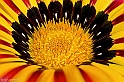 40D_3957_2rid
