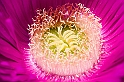 40D_6724_lightroom