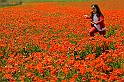 40D_6136_1rid