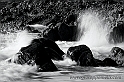40D_10906_2rid
