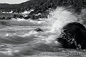 40D_10917_2rid