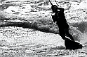 40D_11584_2rid