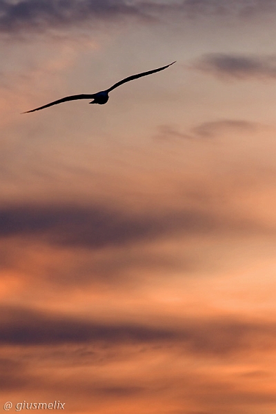 40D_4346_1rid.jpg