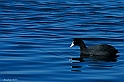 40D_2866_1rid