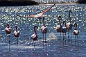 40D_3793_1rid