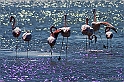 40D_3801_1rid