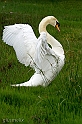 IMG_7131_1rid