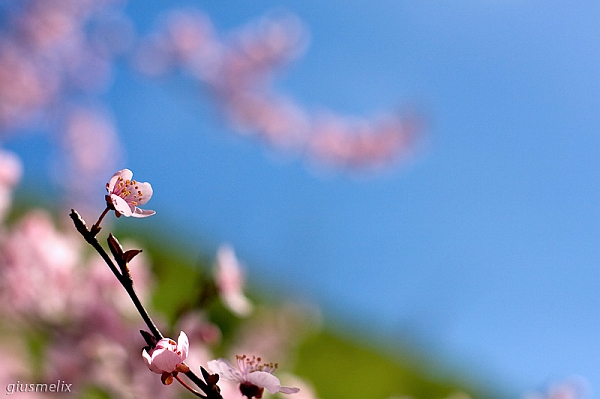 40D_3172_2rid.jpg