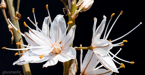 40D_4434_lightroom_rid.jpg