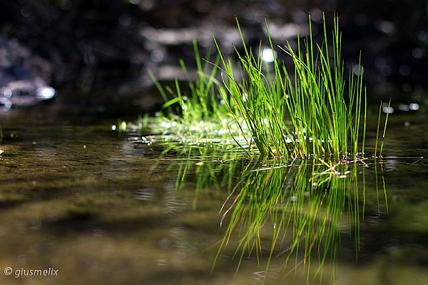 40D_5118_1rid.jpg