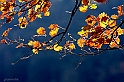 40D_1468_1rid