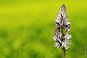 40D_3420_2rid