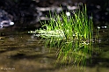 40D_5118_1rid