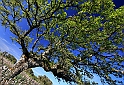 40D_6252_1rid