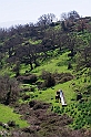 40D_3138_2rid
