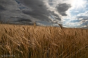 IMG_8480_3rid