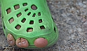 IMG_1845_1rid