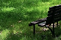IMG_4362_1
